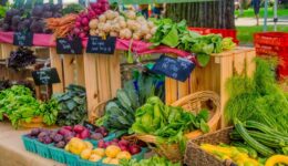 From Farm to Fork: Discovering the Bay Area’s Farmers Markets